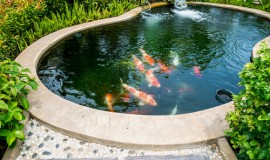 想在家里阳台上做一个微型水池,用什么做防水比较好?